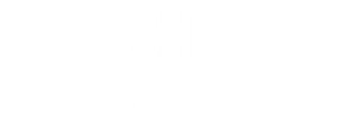 Kasteelbier
